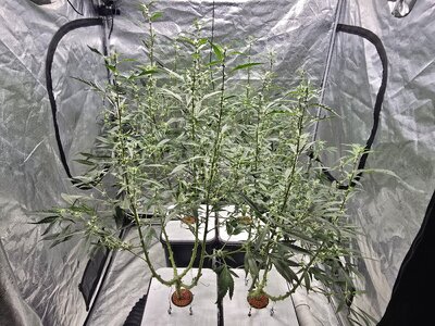 20251023_124912.jpg 20251023_124912.jpg