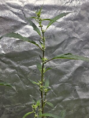 20251023_124943.jpg 20251023_124943.jpg