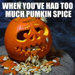 IMG_7150.jpeg