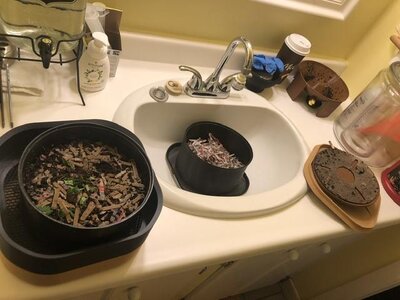 IMG_7165.jpeg IMG_7165.jpeg