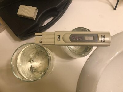 IMG_7227.jpeg