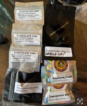 IMG_8592.jpeg IMG_8592.jpeg