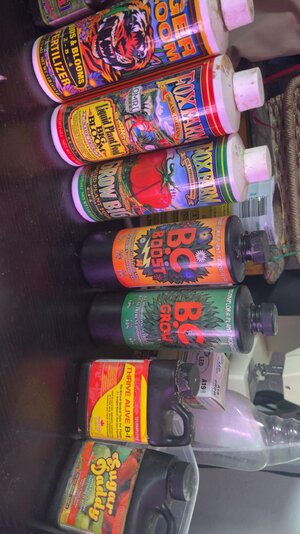 IMG_3692.jpg IMG_3692.jpg