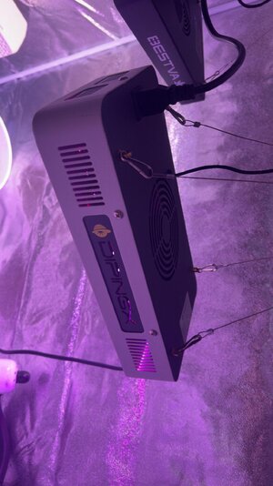 IMG_3693.jpg IMG_3693.jpg