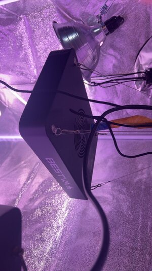 IMG_3694.jpg IMG_3694.jpg