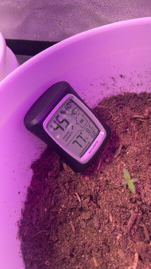 IMG_3695.jpg IMG_3695.jpg