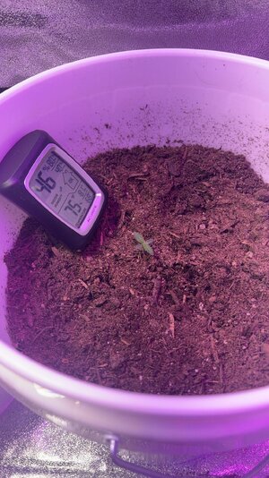 IMG_3697.jpg IMG_3697.jpg