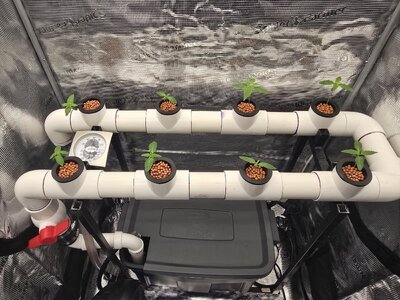 20251027_075547.jpg 20251027_075547.jpg