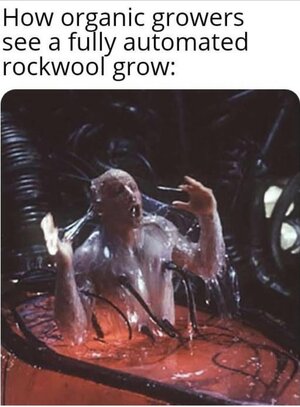 IMG_3504.jpeg IMG_3504.jpeg