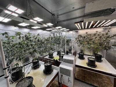 IMG_9231.jpeg IMG_9231.jpeg