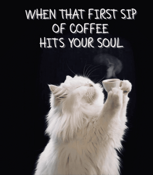 072a797f6172f0159a5986df4f1adf47.png 072a797f6172f0159a5986df4f1adf47.png