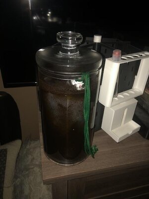 IMG_7311.jpeg