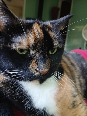 20250909_065449.jpg 20250909_065449.jpg