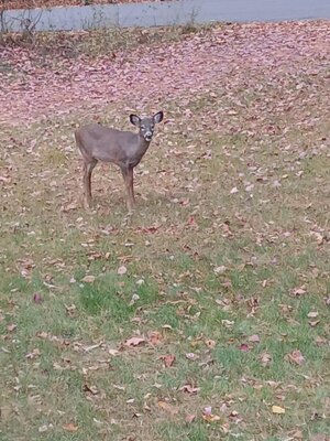 20251030_154945.jpg 20251030_154945.jpg