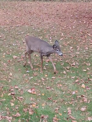 20251030_155043.jpg 20251030_155043.jpg