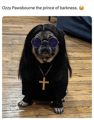 95bbd878c7cd88f85c3f7a8b76669c78.png