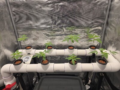 20251101_071705.jpg 20251101_071705.jpg