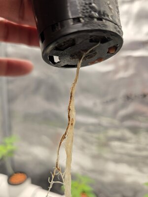 20251101_071847.jpg 20251101_071847.jpg