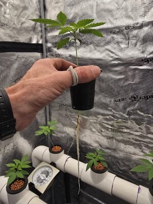 20251101_071853.jpg 20251101_071853.jpg