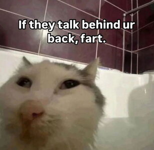 040cae0536fff44a5ee2d66dcb1d91c1.jpeg