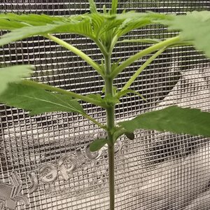 20251101_192445.jpg 20251101_192445.jpg