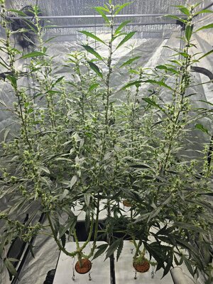 20251102_080443.jpg 20251102_080443.jpg