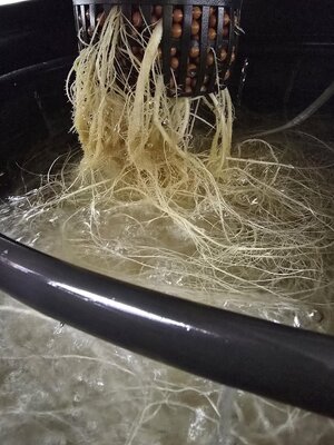 20251102_080541.jpg 20251102_080541.jpg