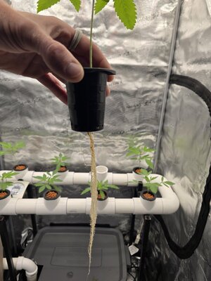 20251102_121022.jpg 20251102_121022.jpg