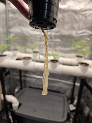 20251102_121057.jpg 20251102_121057.jpg