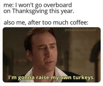 9c124a57fa34e1a2db6b226c6b52fdea.jpeg 9c124a57fa34e1a2db6b226c6b52fdea.jpeg