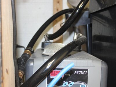 chiller and hose lines.JPG