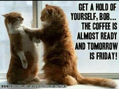 Screenshot_20251106_185101_Gallery.jpg Screenshot_20251106_185101_Gallery.jpg