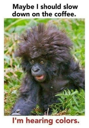 c04b403736dc149cbb434a7783075801.jpeg c04b403736dc149cbb434a7783075801.jpeg