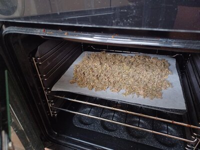 20250904_120257 - Copy.jpg