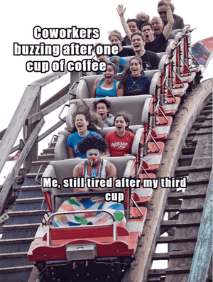 558503dd1a5286b437a355542e5ecca1-1.png