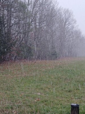 20251109_125537.jpg