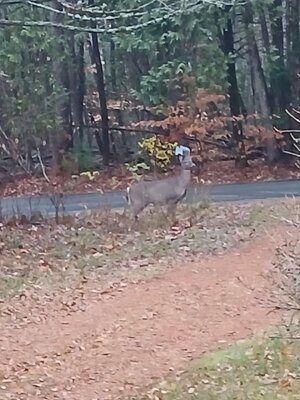 20251110_150526.jpg 20251110_150526.jpg