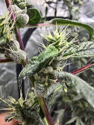 20251111_140735.jpg 20251111_140735.jpg