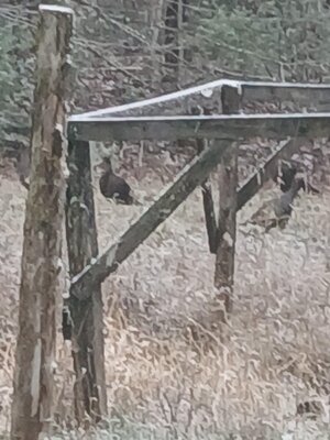 20251111_150812.jpg 20251111_150812.jpg