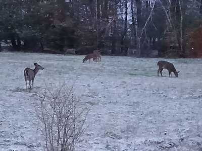 20251111_162859.jpg 20251111_162859.jpg