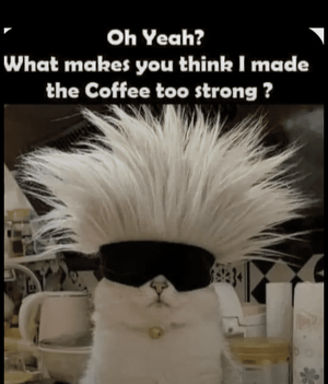 5e8bff8023c503cebf8e1eac6768fb60.png