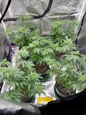 20251112_070332.jpg 20251112_070332.jpg