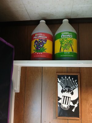 20251112_062831.jpg 20251112_062831.jpg