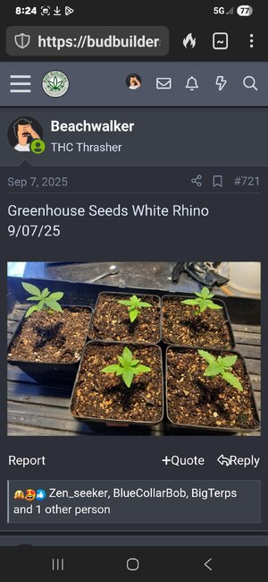 Screenshot_20251112_082437_DuckDuckGo.jpg Screenshot_20251112_082437_DuckDuckGo.jpg
