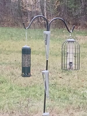 20251113_123945.jpg 20251113_123945.jpg