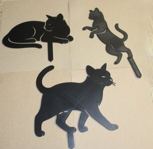 3 cats Zen.JPG