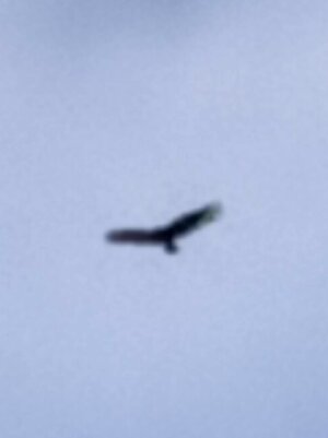 IMG_20231003_142514__01.jpg IMG_20231003_142514__01.jpg