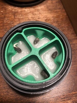 IMG_7641.jpeg IMG_7641.jpeg