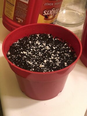 IMG_7643.jpeg IMG_7643.jpeg