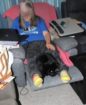 Nov 14 Qnight on wife.JPG